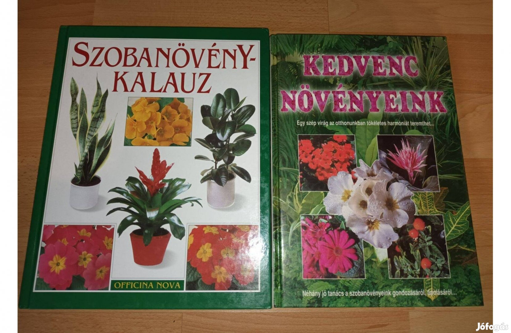 Szobanövény-kalauz & Kedvenc növényeink 2 db könyv
