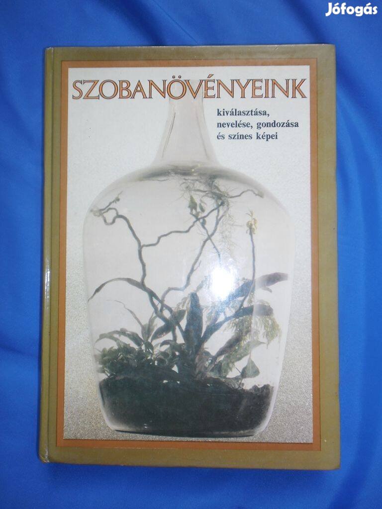 Szobanövényeink (kiválasztása, nevelése, gondozása )