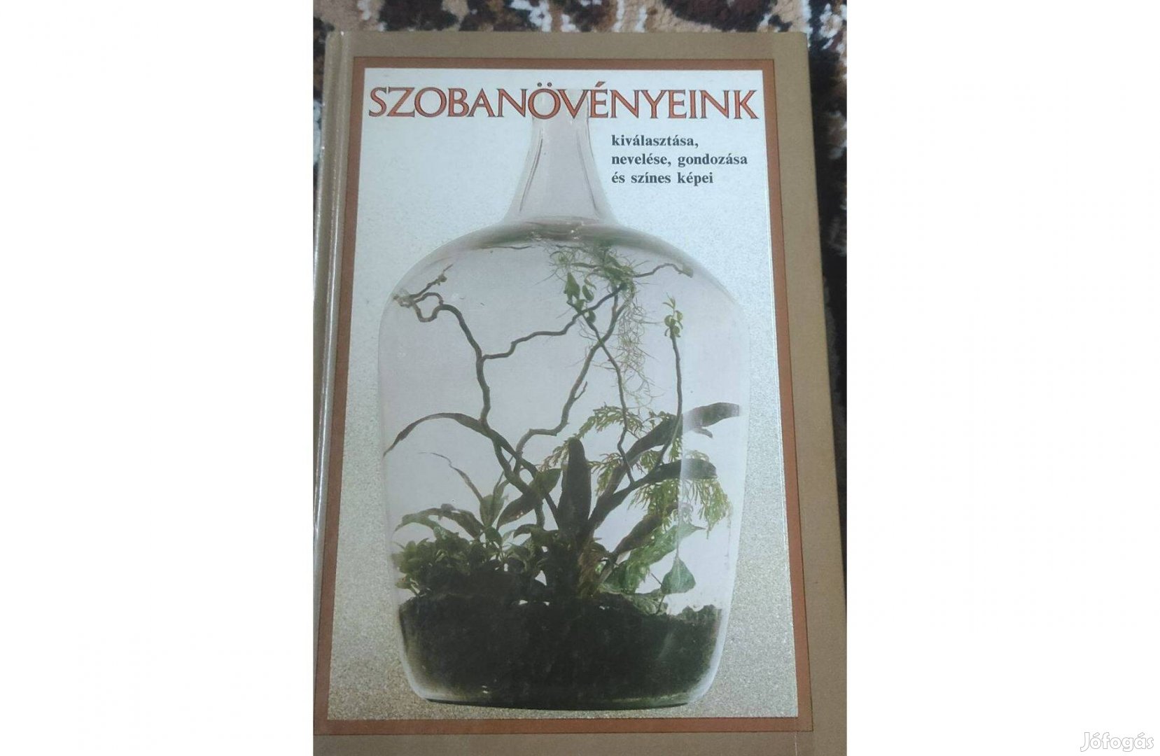 Szobanövényeink című könyv