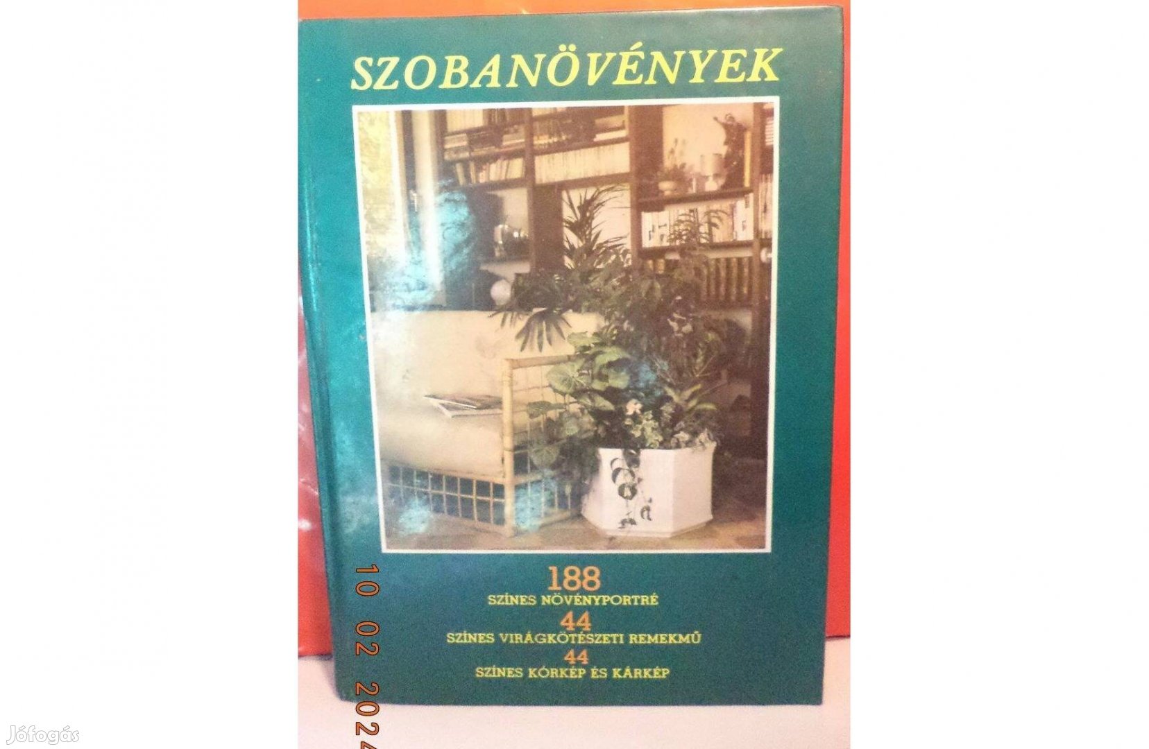 Szobanövények