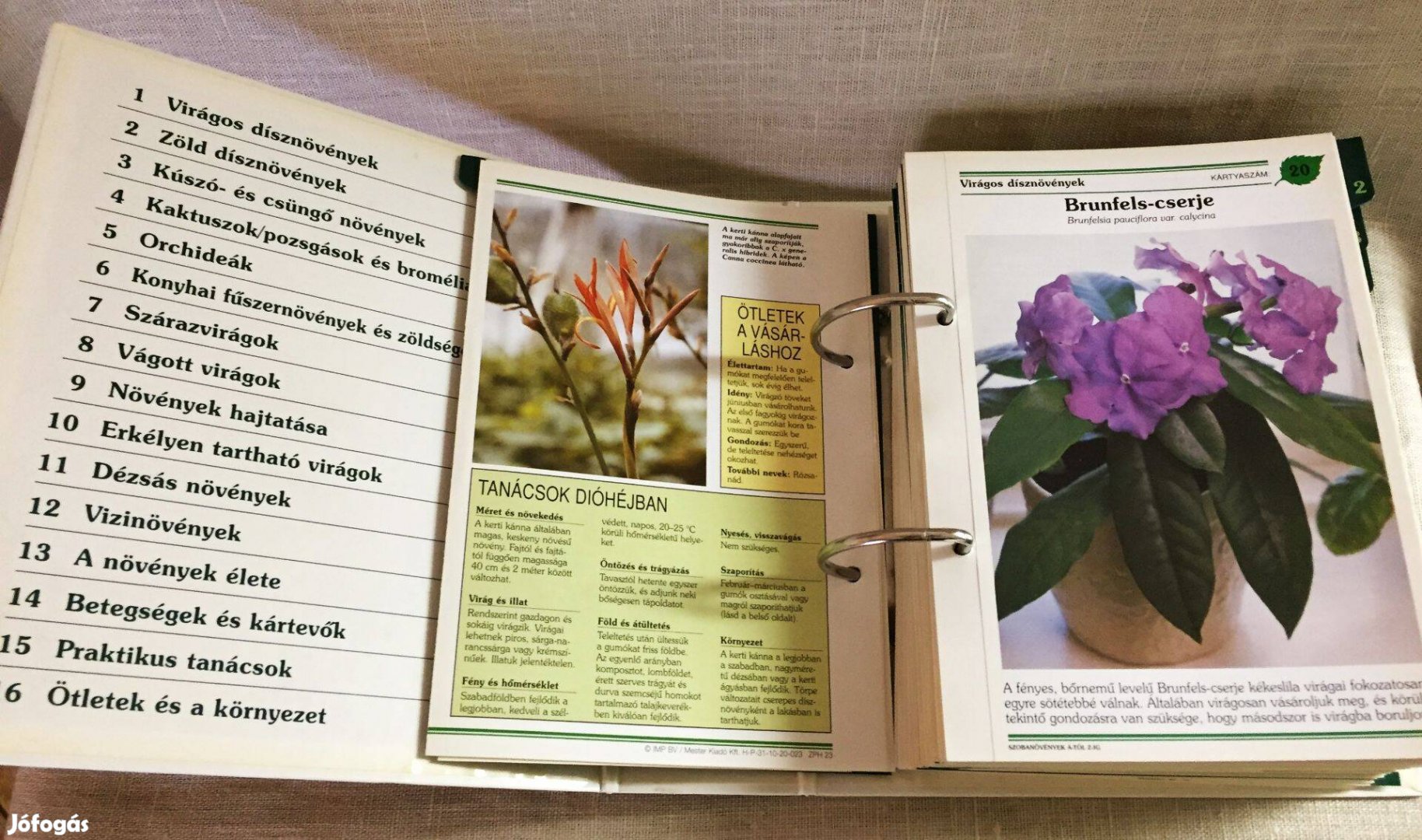 Szobanövények A-tól Z-ig 964 dupla lapon