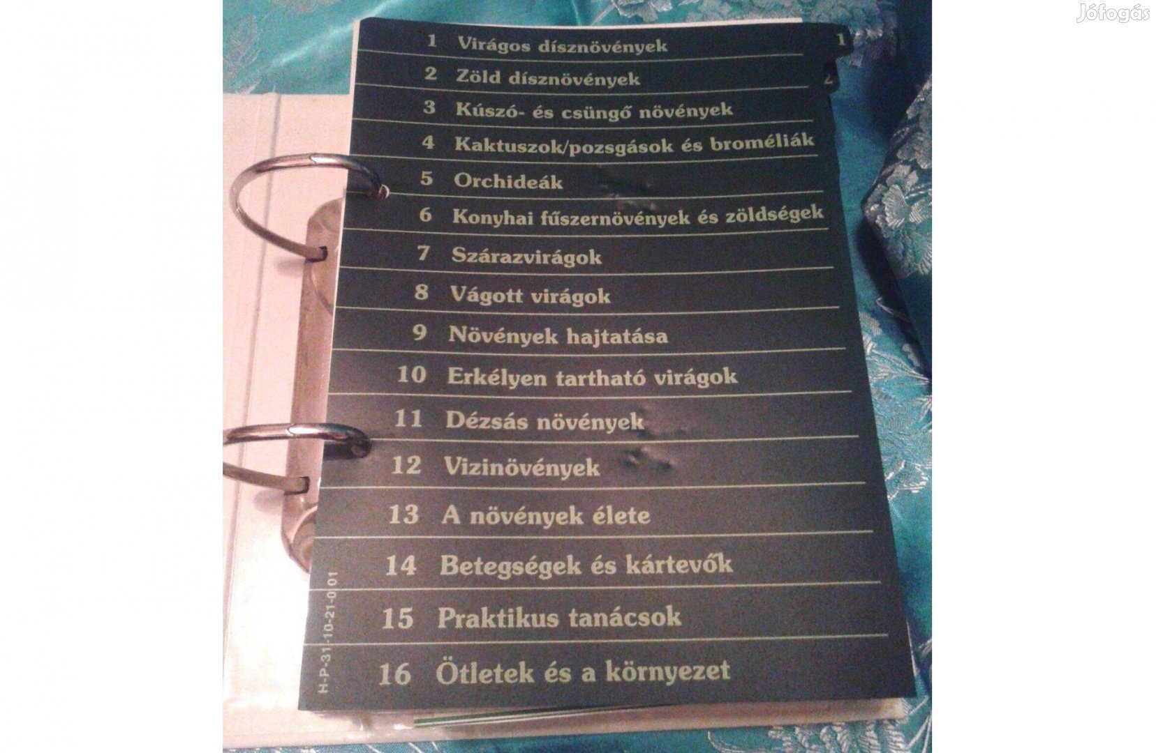 Szobanövények A-tól Z-ig