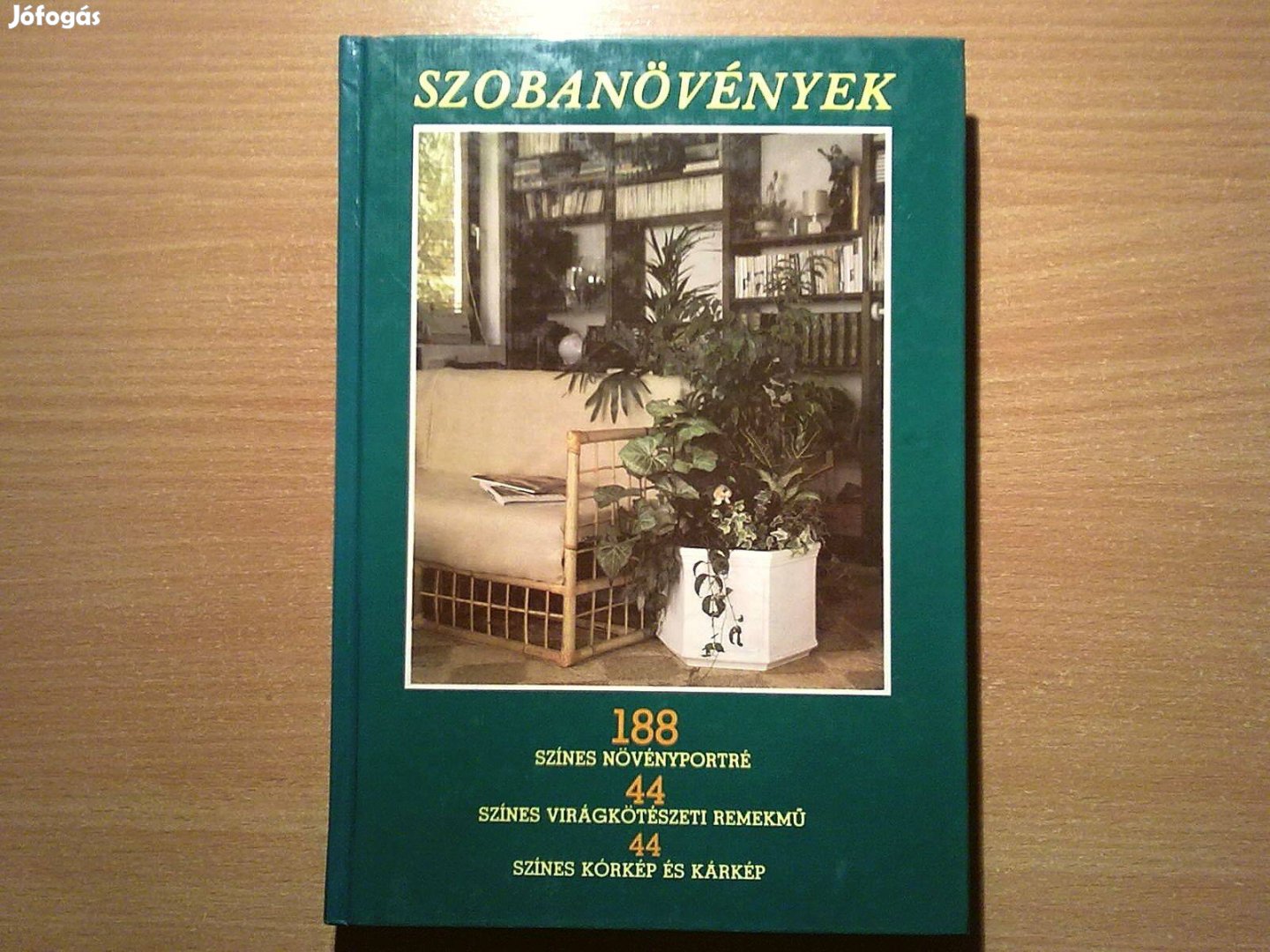 Szobanövények (188 Színes növényportré)