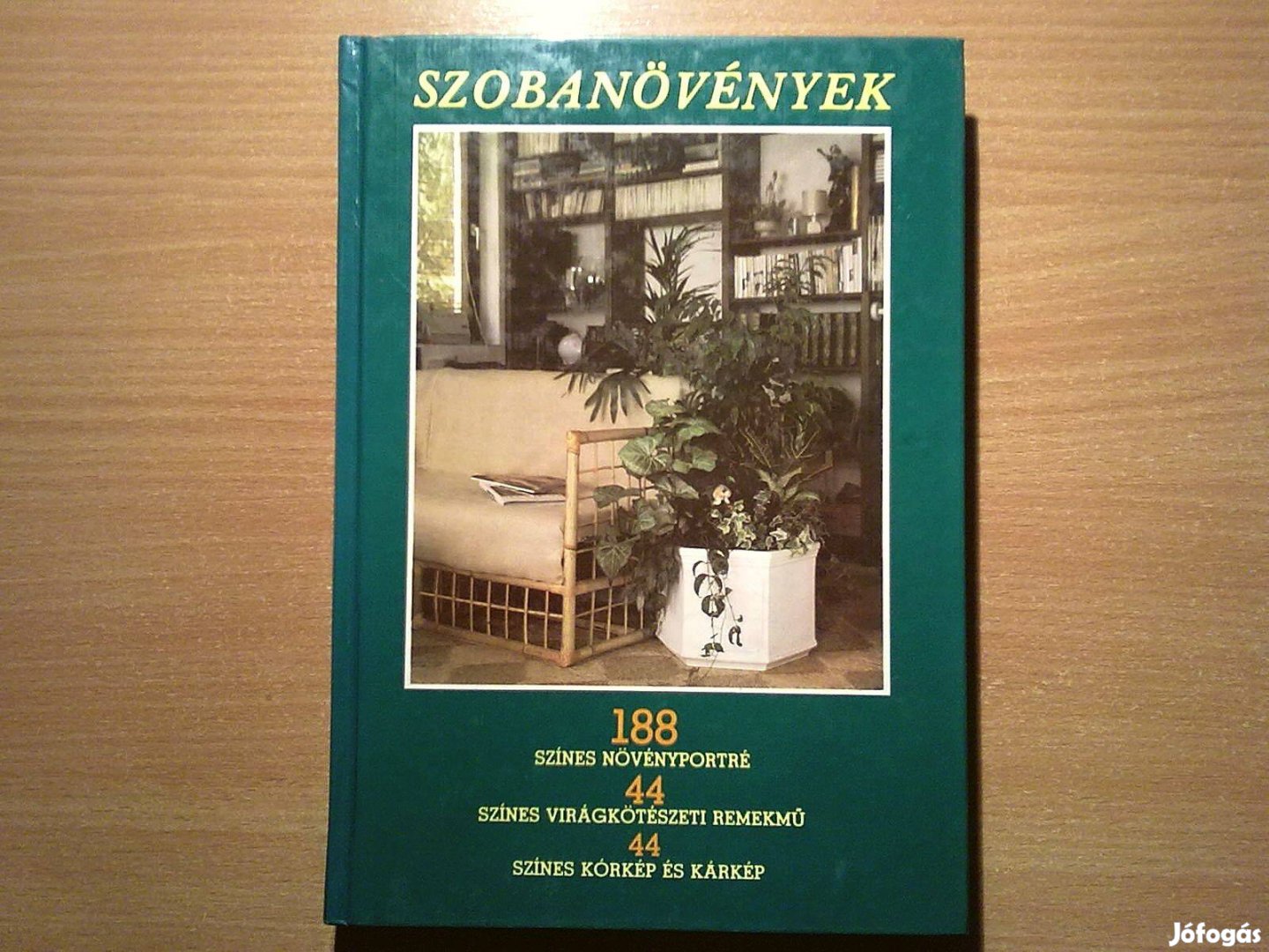 Szobanövények (188 Színes növényportré)