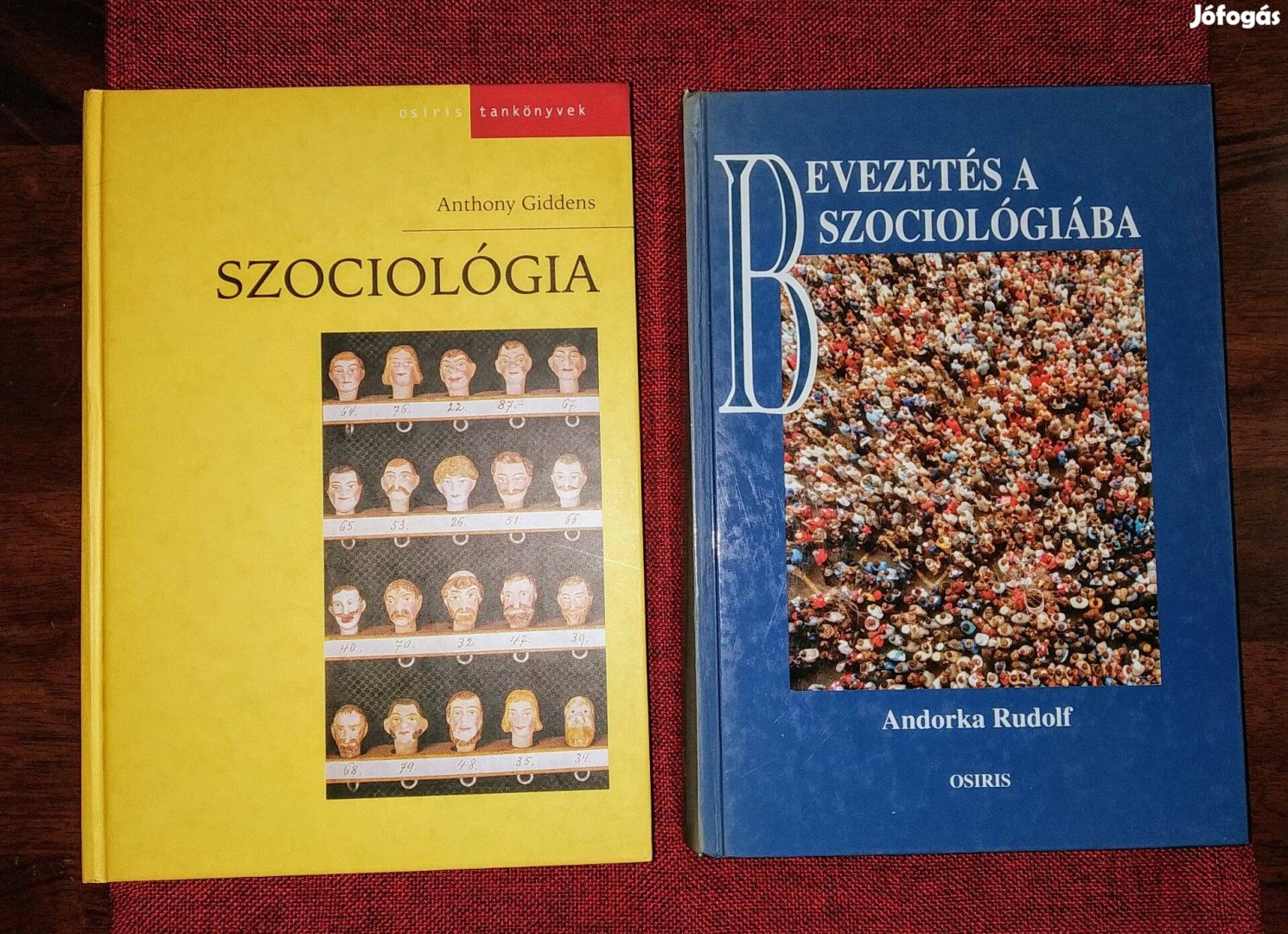 Szociológia Anthony Giddens Bevezetés a szociológiaba Andorka