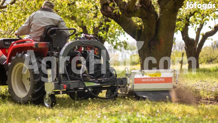 Szőlészet, AARDENBURG Törzstisztófej jobb oldali