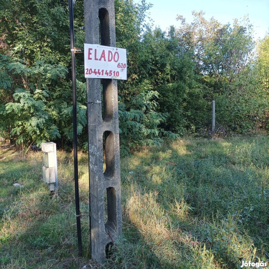 Szöllőskerti területek eladó.Nagybocskai szöllőskert kettes düllőbe