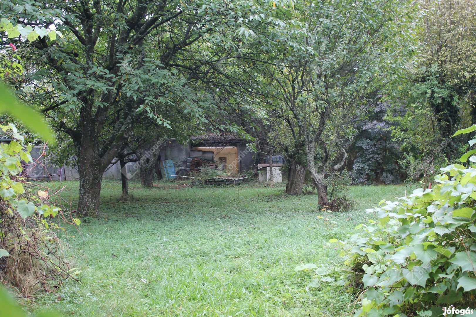 Szombathely Parkerdőben, nagy 1364 m2-es, telek kis házzal eladó.