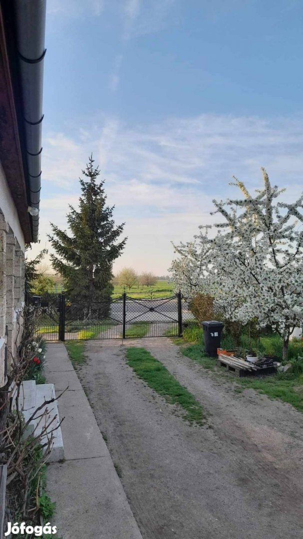 Szomszéd mentes családi ház a főutcán eladó !