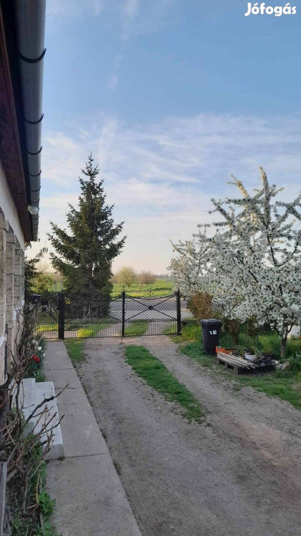 Szomszéd mentes családi ház a főutcán eladó !