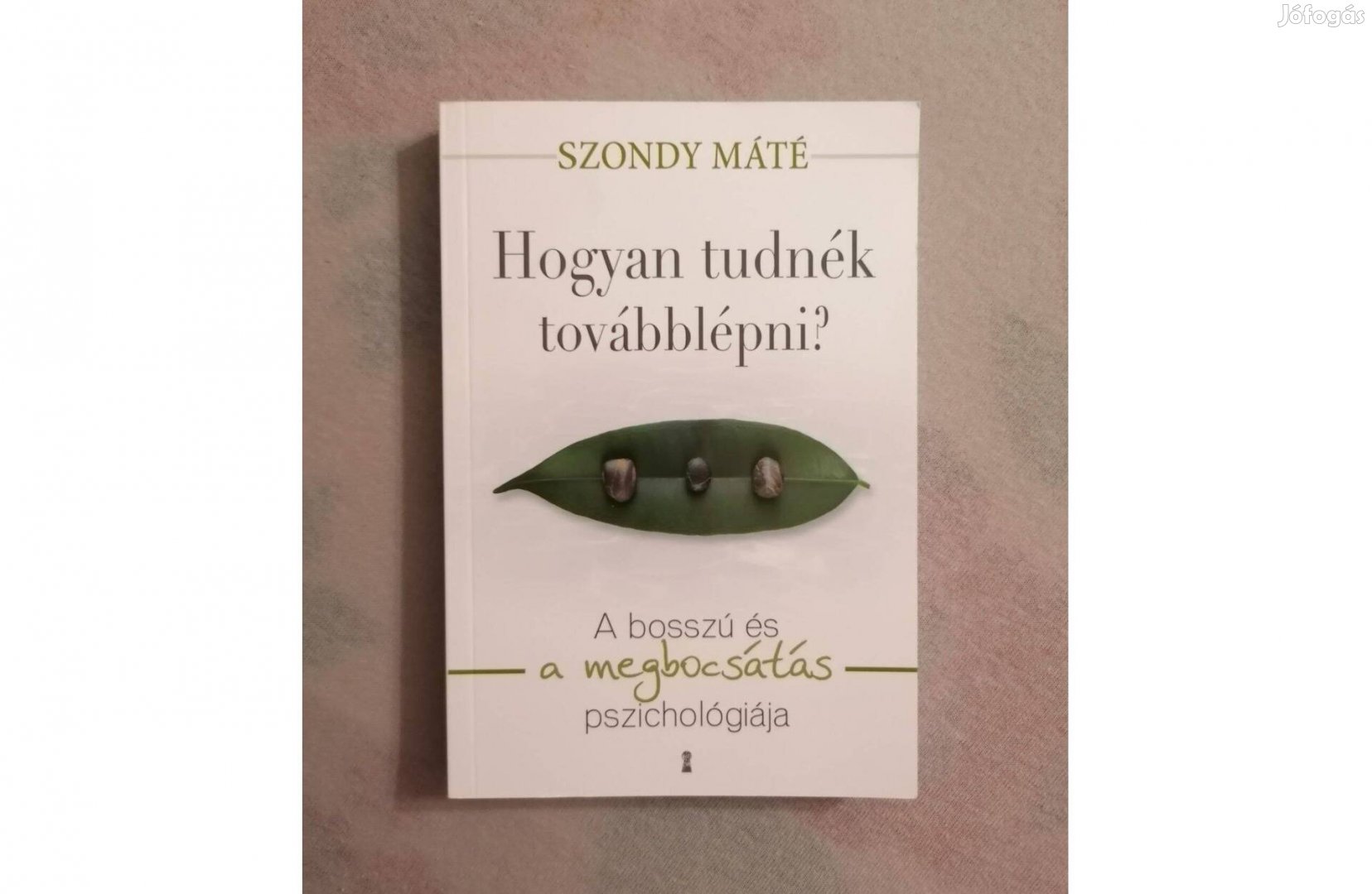 Szondy Máté: Hogyan tudnék továbblépni?