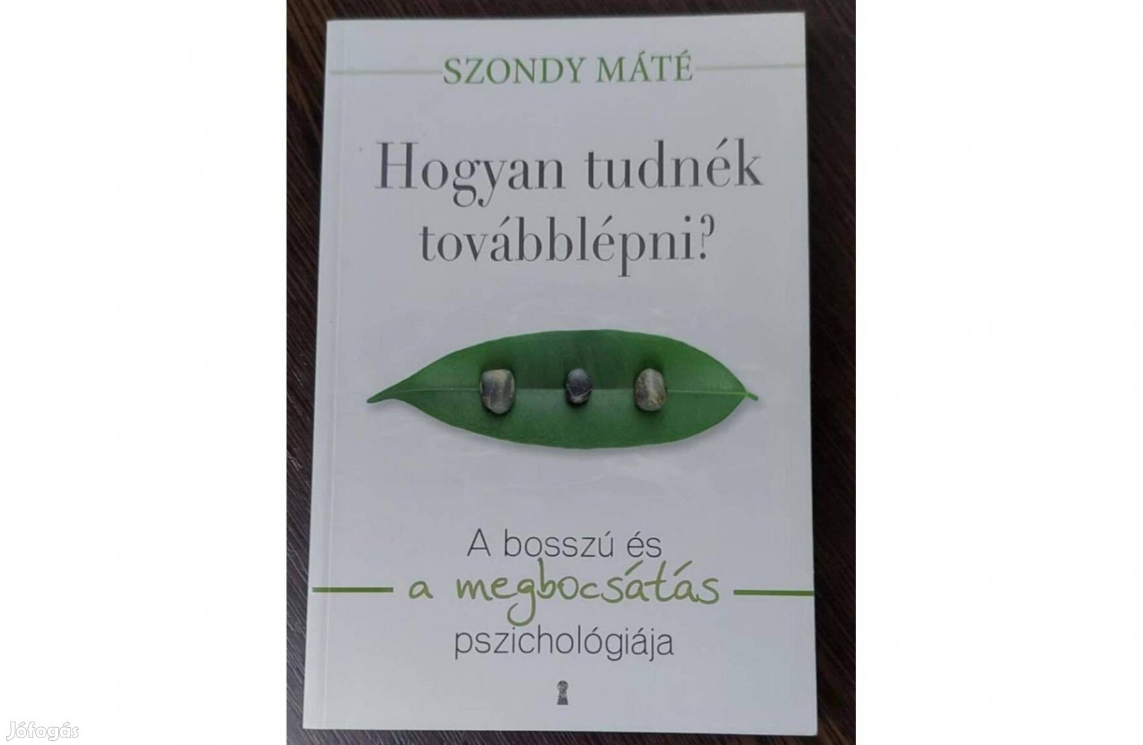 Szondy Máté: Hogyan tudnék továbblépni?