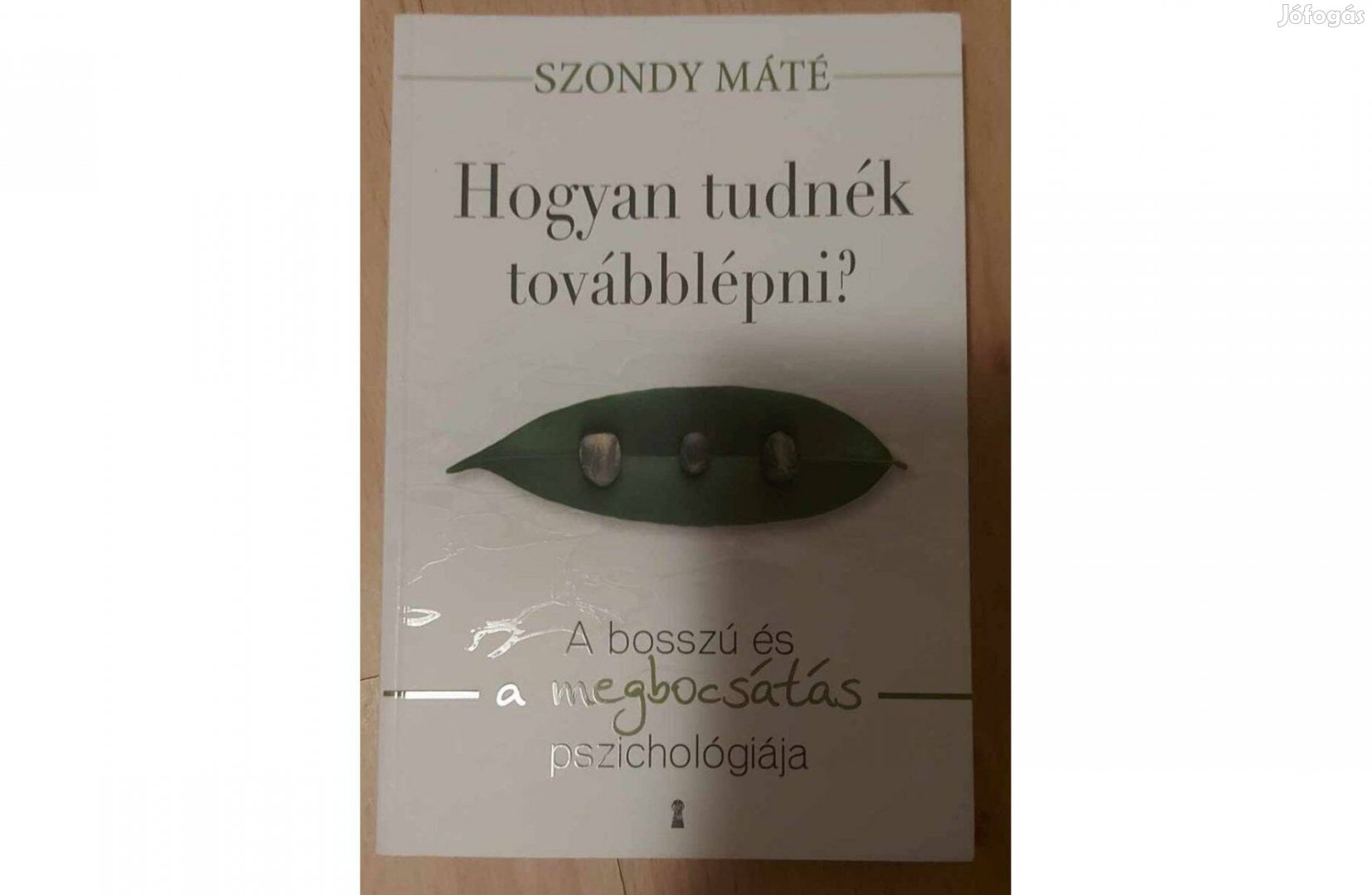 Szondy Máté: Hogyan tudnék továbblépni?