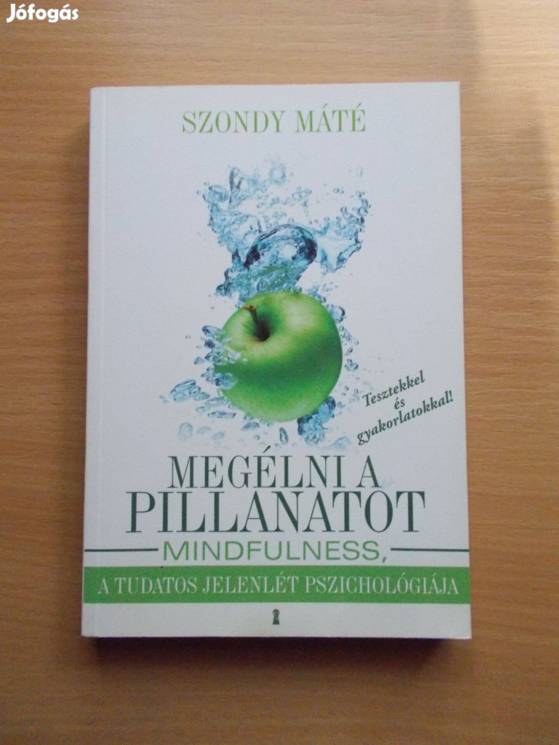 Szondy Máté: Megélni a pillanatot - Mindfulness - Tudatos jelenlét