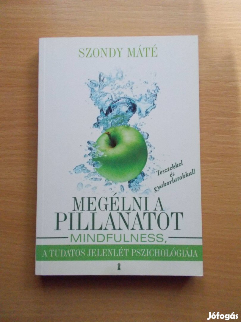 Szondy Máté: Megélni a pillanatot - Mindfulness - Tudatos jelenlét