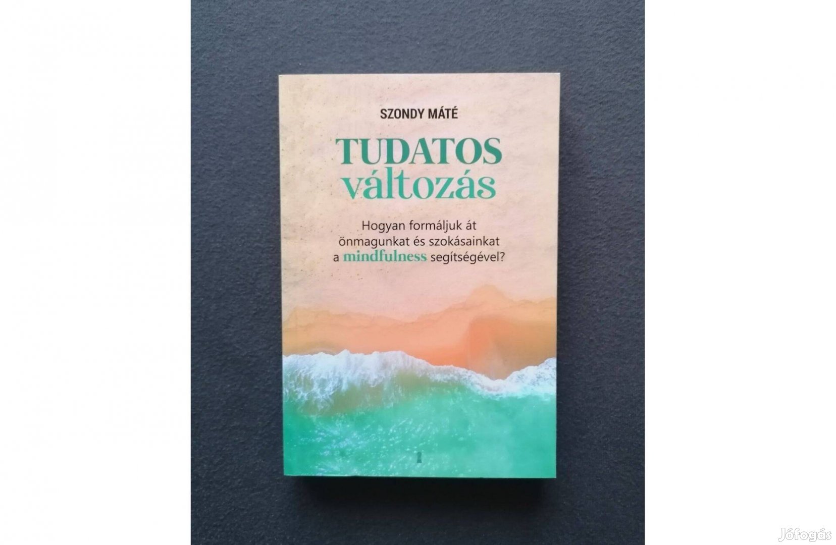Szondy Máté: Tudatos változás
