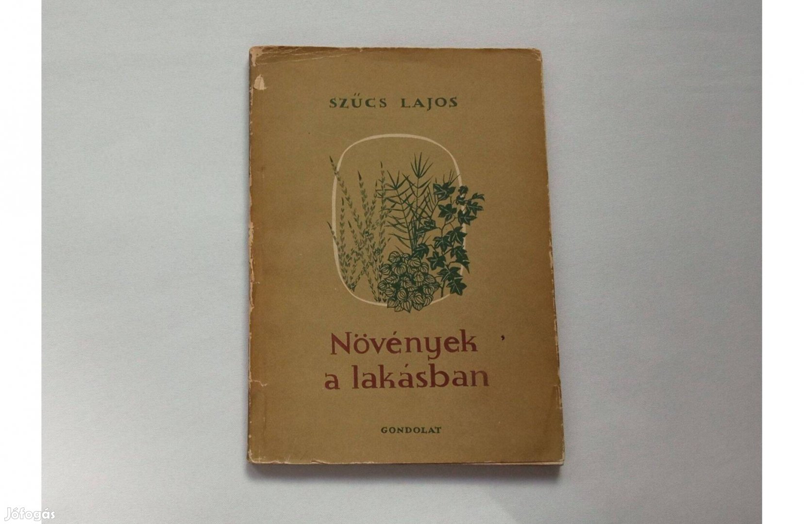 Szűcs Lajos Növények a lakásban fotókkal és ábrákkal