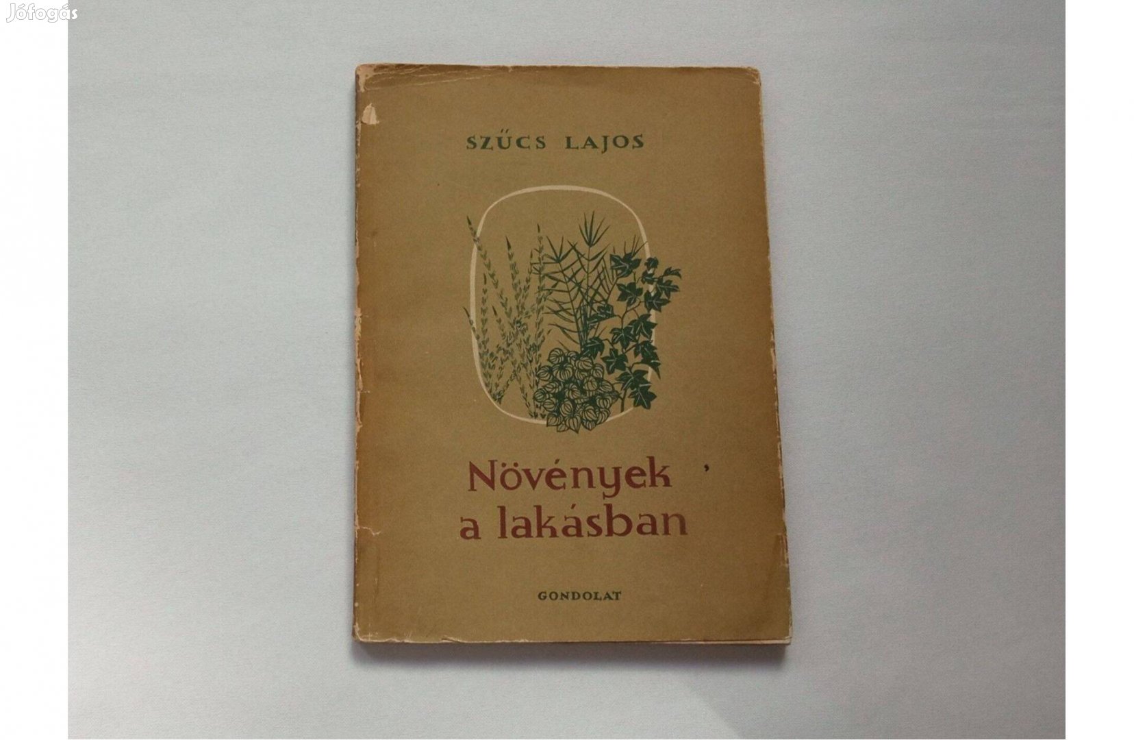 Szűcs Lajos: Növények a lakásban * Gondolat 1957 * 750 Ft