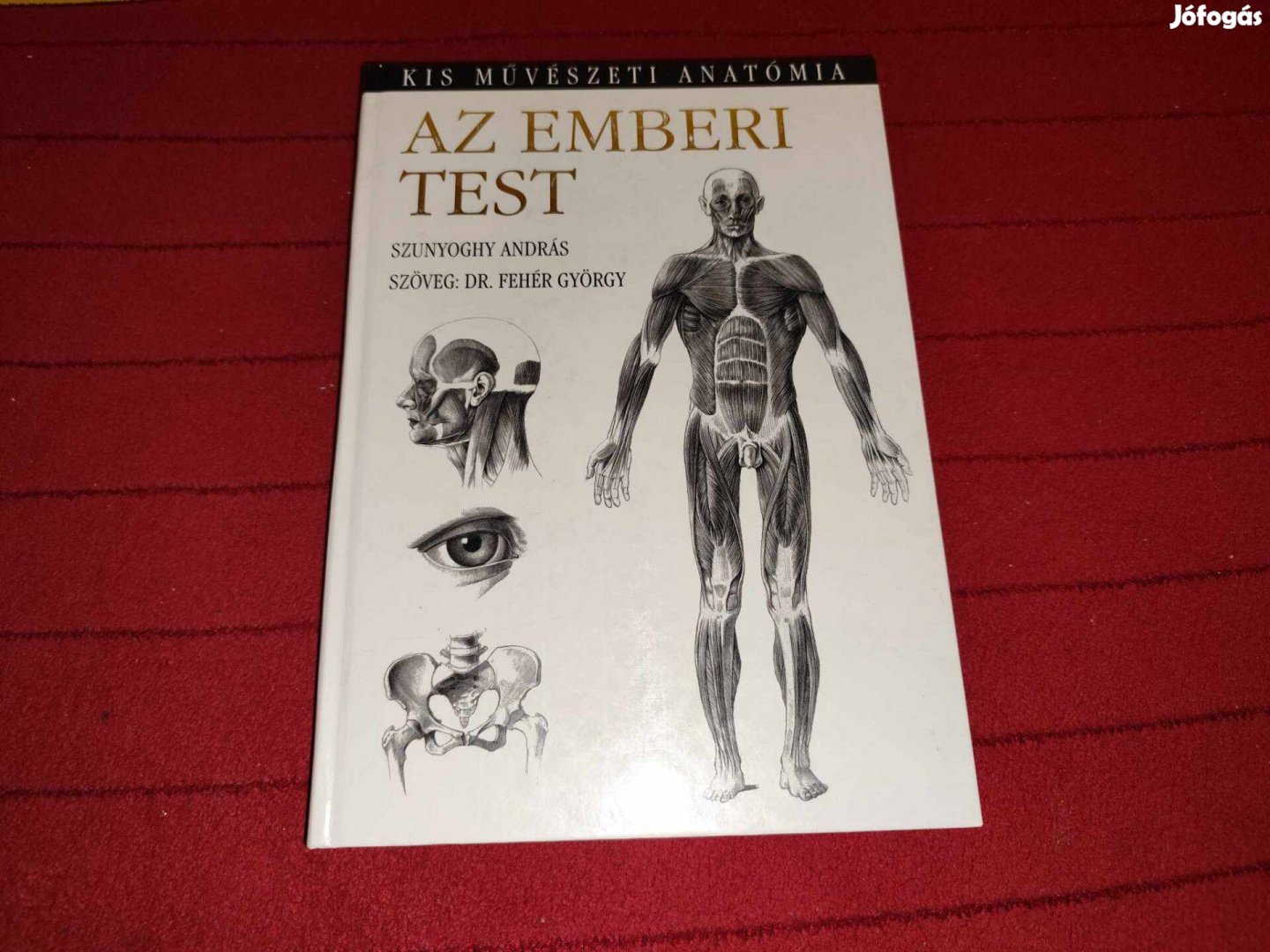 Szunyoghy András: Az emberi test - Kis művészeti anatómia