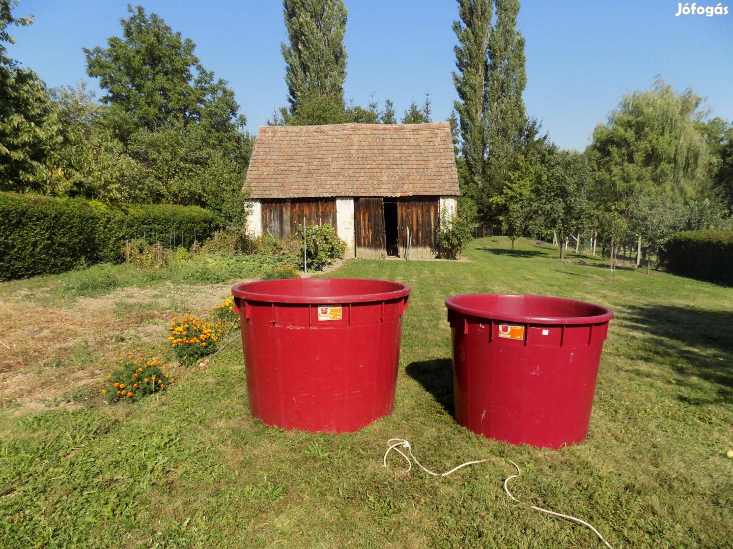 Szüretelő kádak (1000 literes, 700 literes)