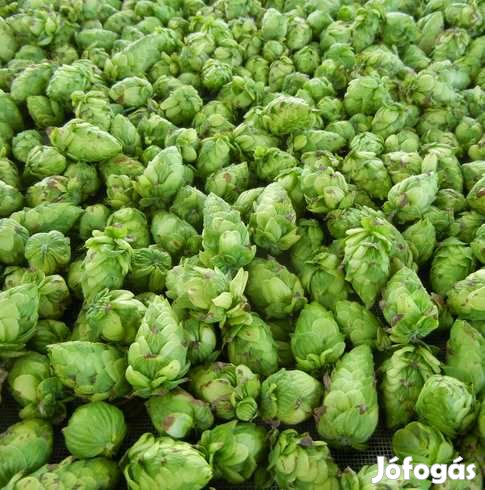 TARGET aroma és keserŰkomló pellet 30g  (456)