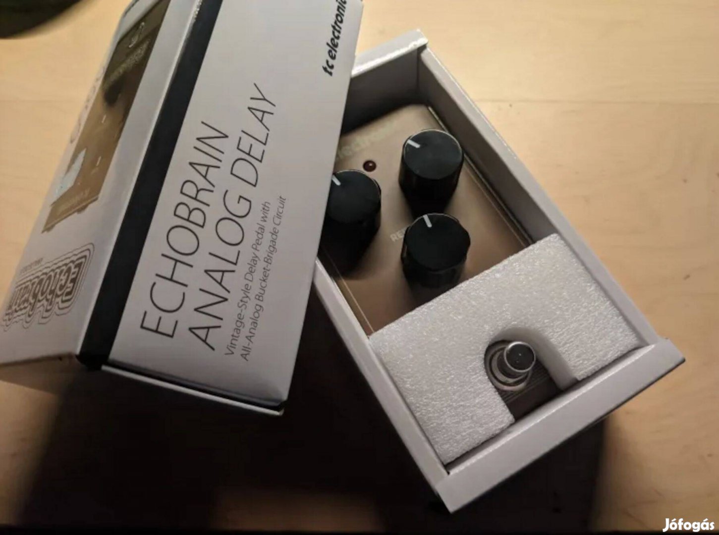 TC Electronic Echobrain delay