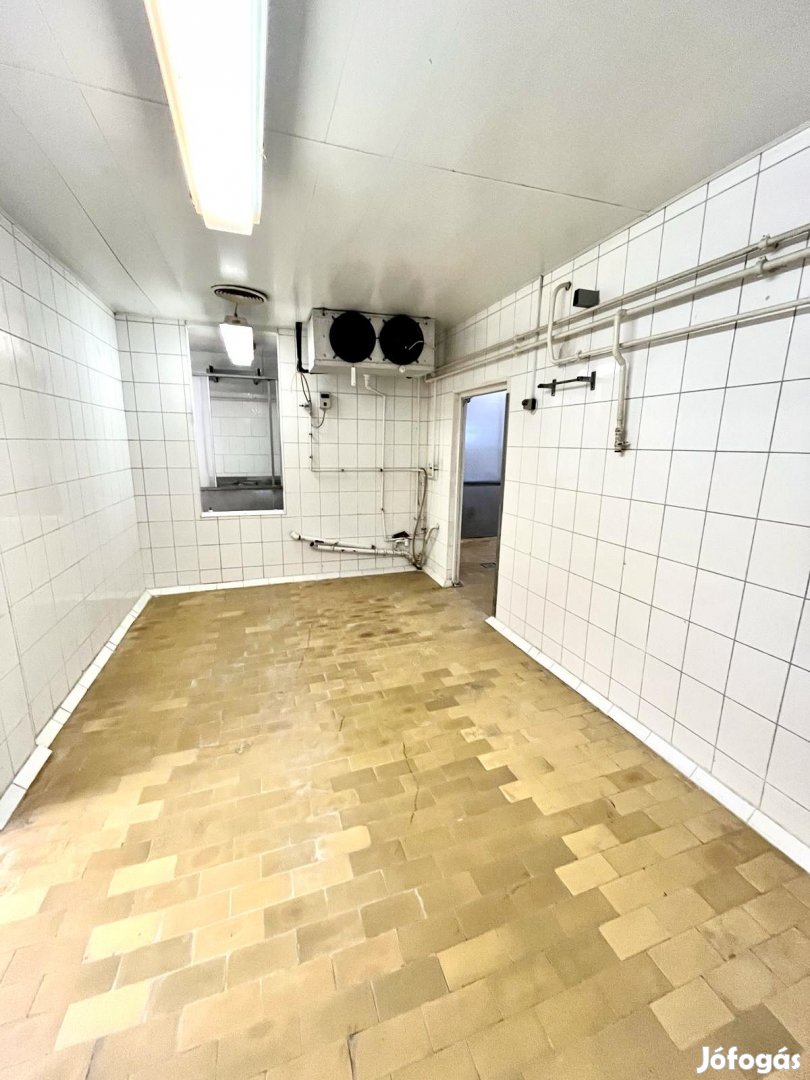 TELEPHELY ELADÓ BUDAPESTTŐL 30 PERCRE!