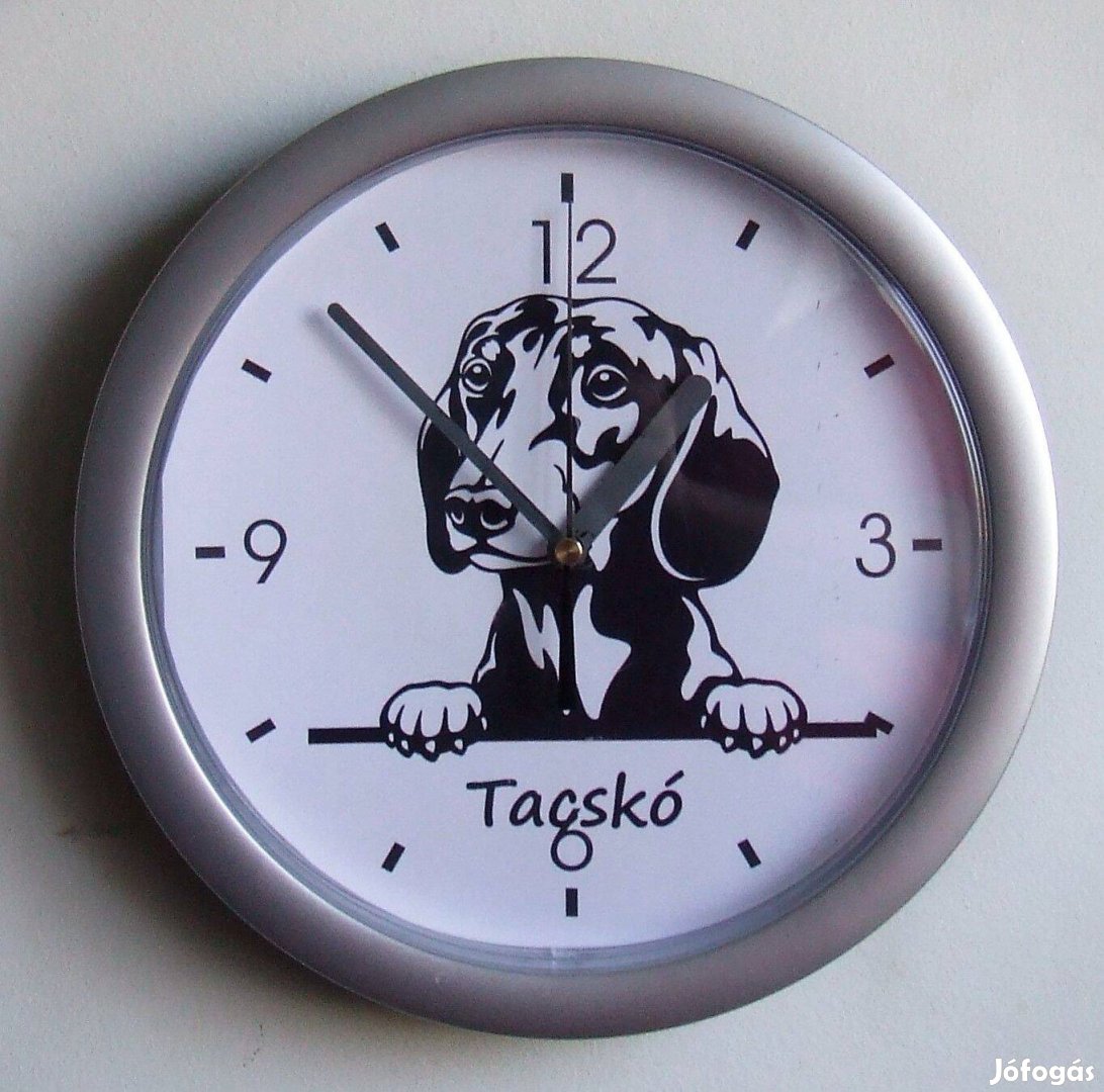 Tacskó falióra