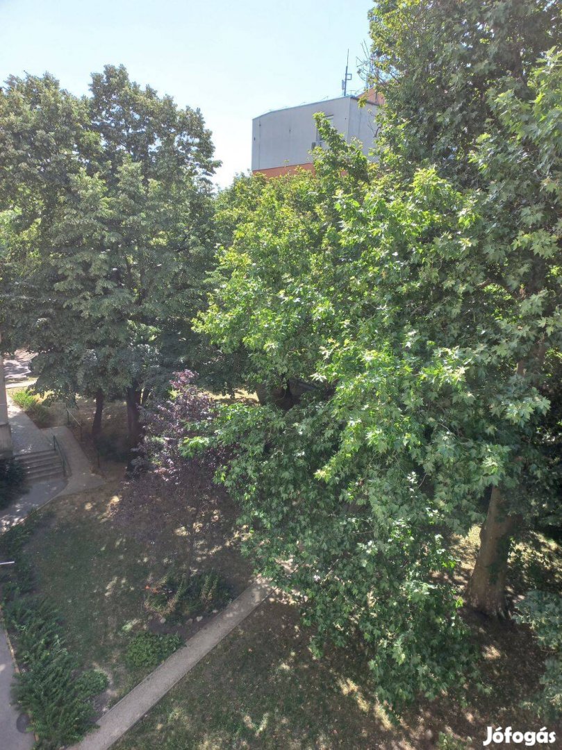 Tahi utcában 58 m2 lakás eladó a Rákos patak parján