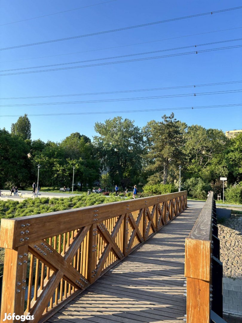 Tahi utcában, a Rákos-patak partján 57 m2 lakás eladó