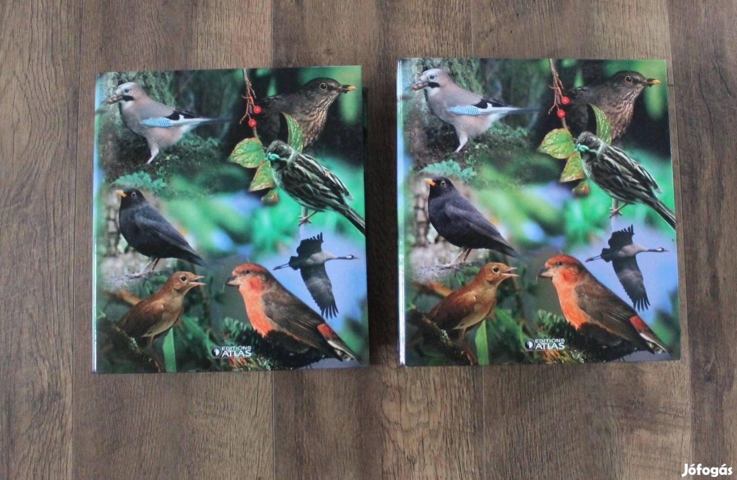 Tájaink madarai madár lexikon