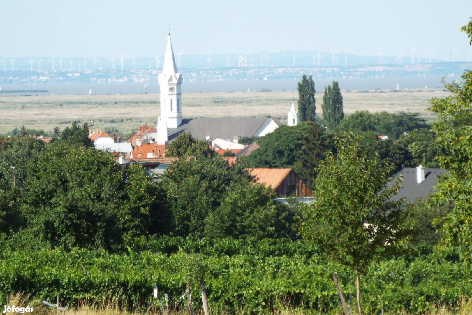 Takkaritó tálalalós, mosodai dolgozó