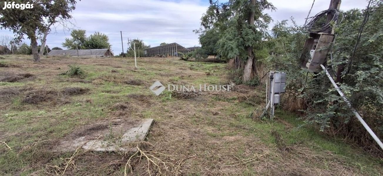 Taksonyi eladó 2555 nm-es telek
