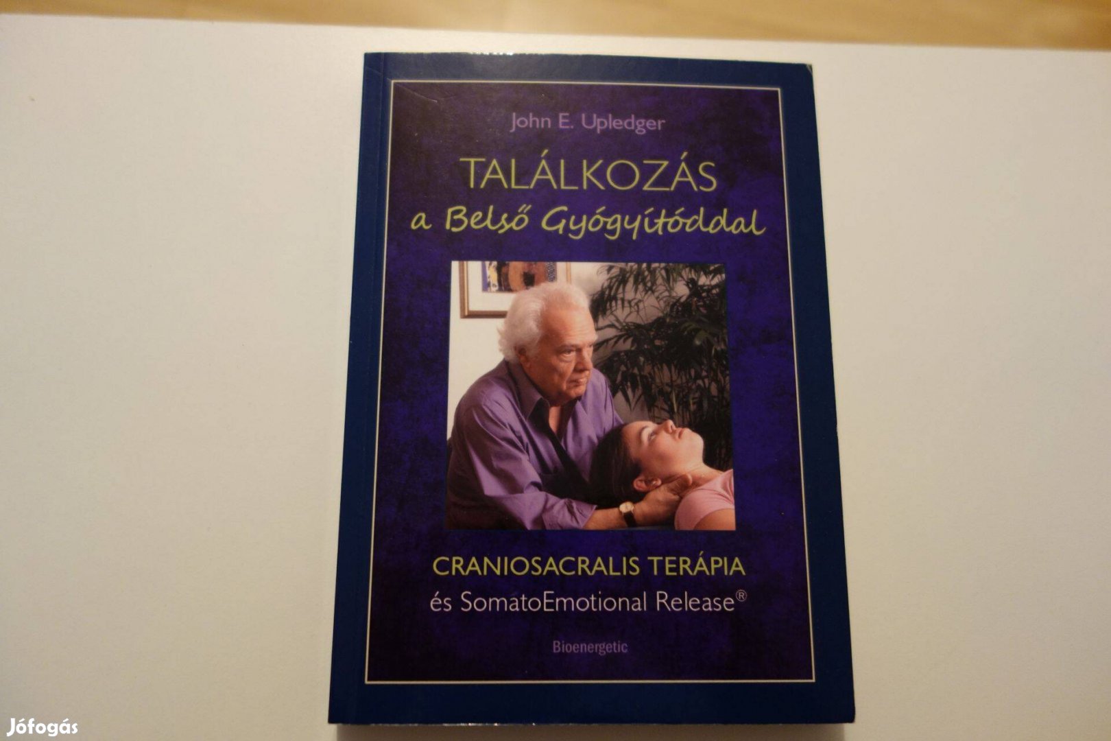 Találkozás a belső gyógyítóddal című könyv