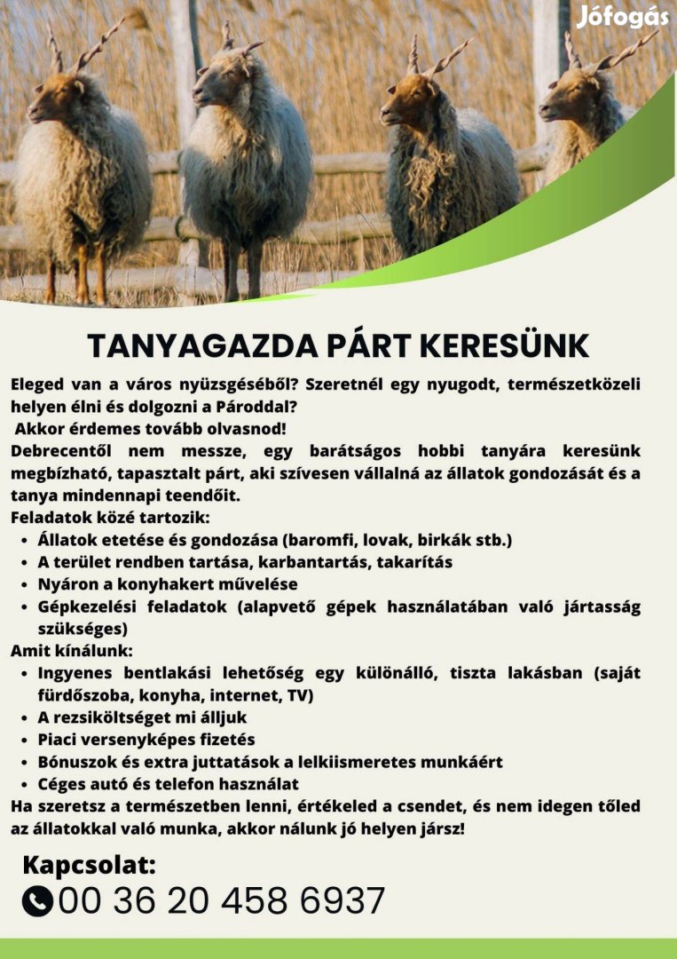 Tanyagondnok párt keresünk