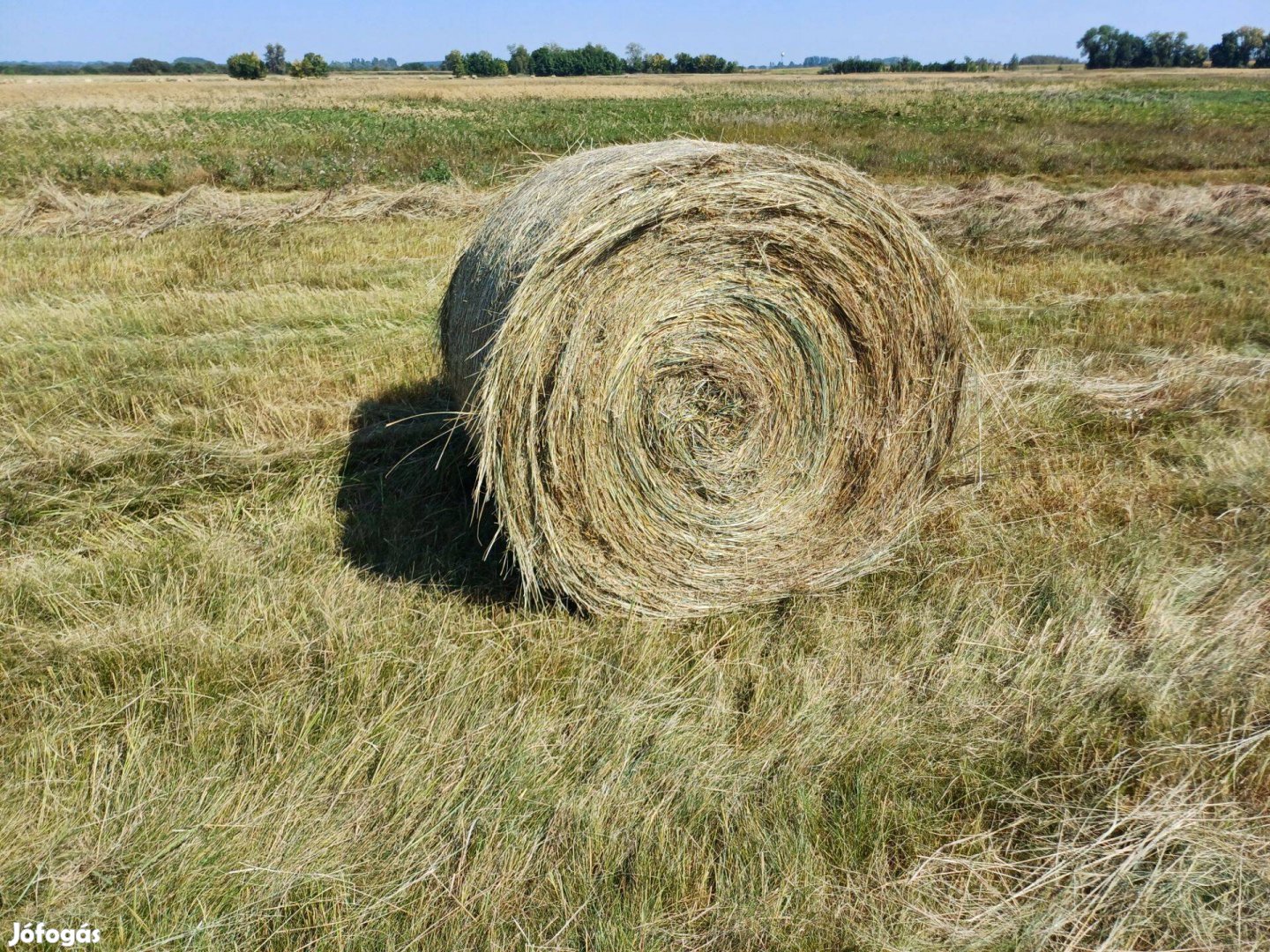 Tápanyagban gazdag széna Bála 120-as eladó