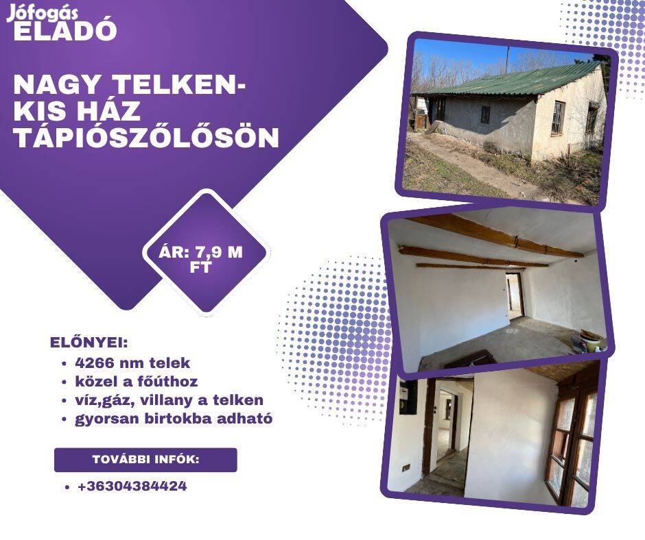 Tápiószőlős, nagy telekkel - kis házikó!