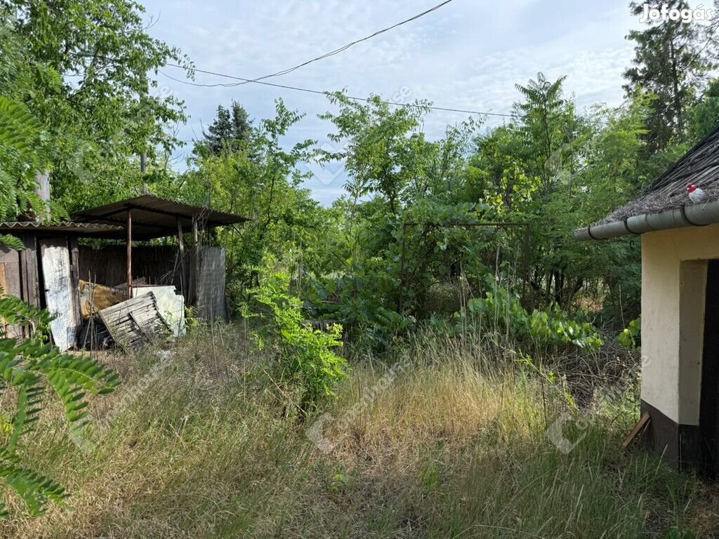 Tápiószőlősön eladó terület!