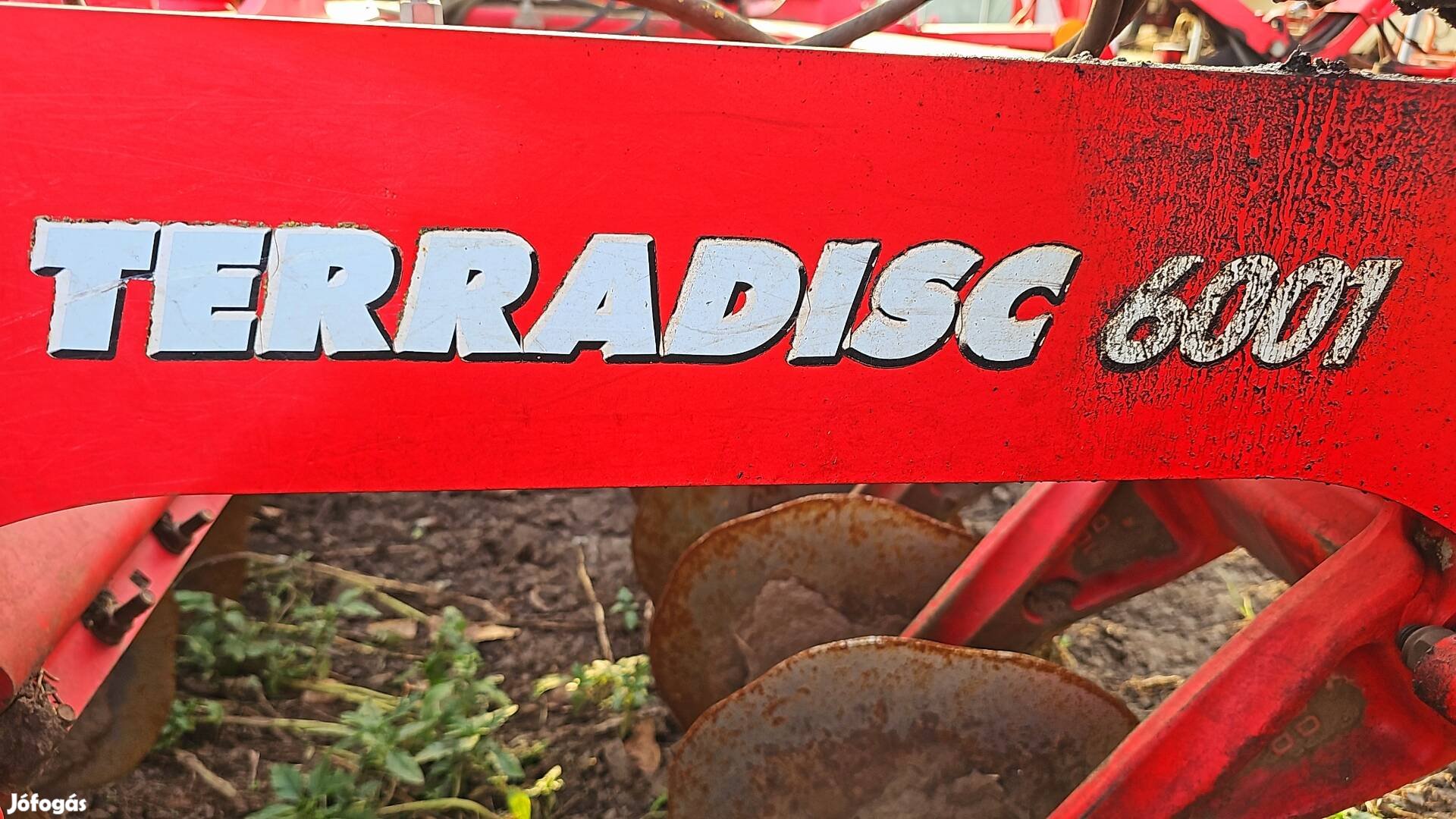 Tarcsa 6 meter elsőtulajdonos
