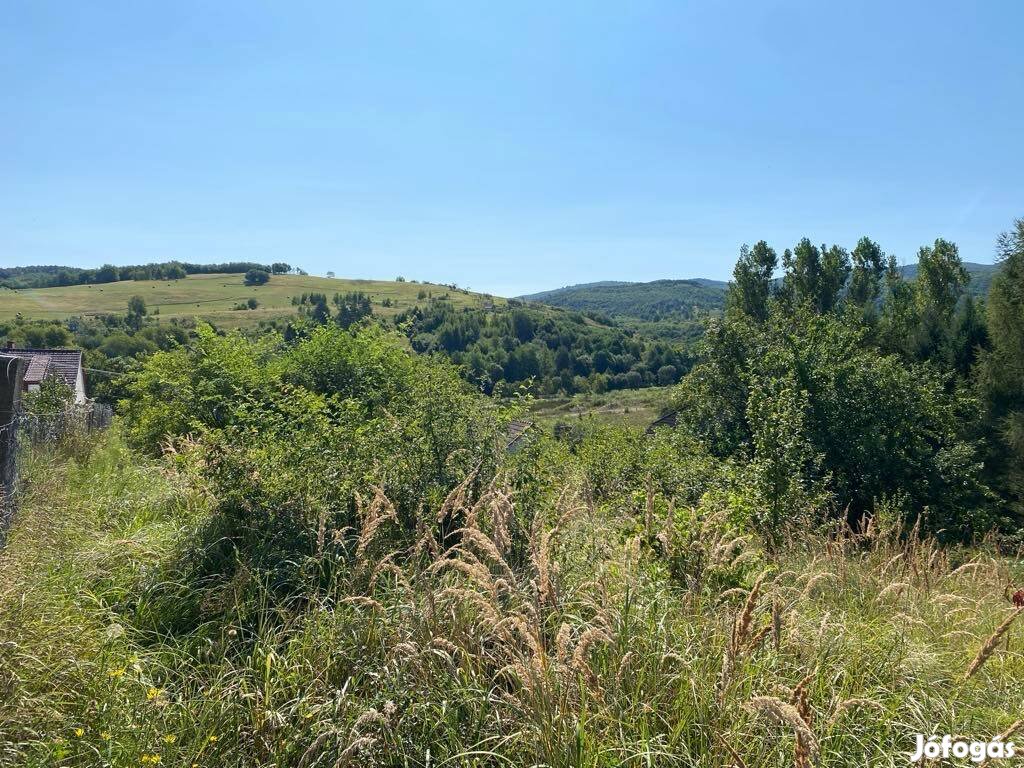 Tardona építési telek a Bükk kapujában