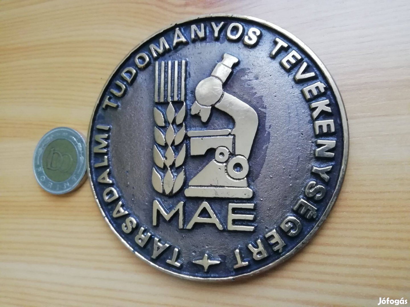 Társadalmi és Tudományos Tevékenységért Régi kitüntető érem