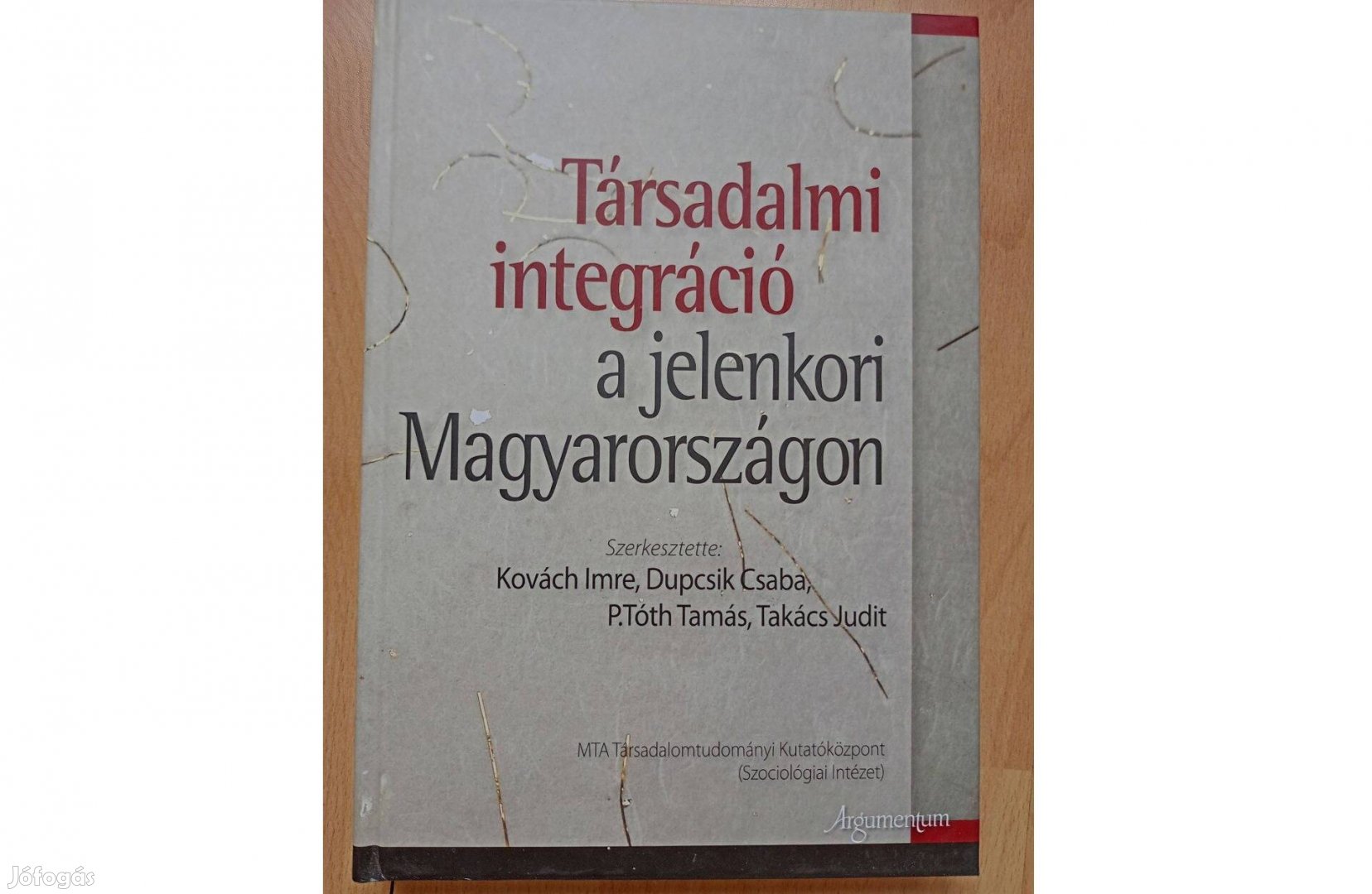 Társadalmi integráció