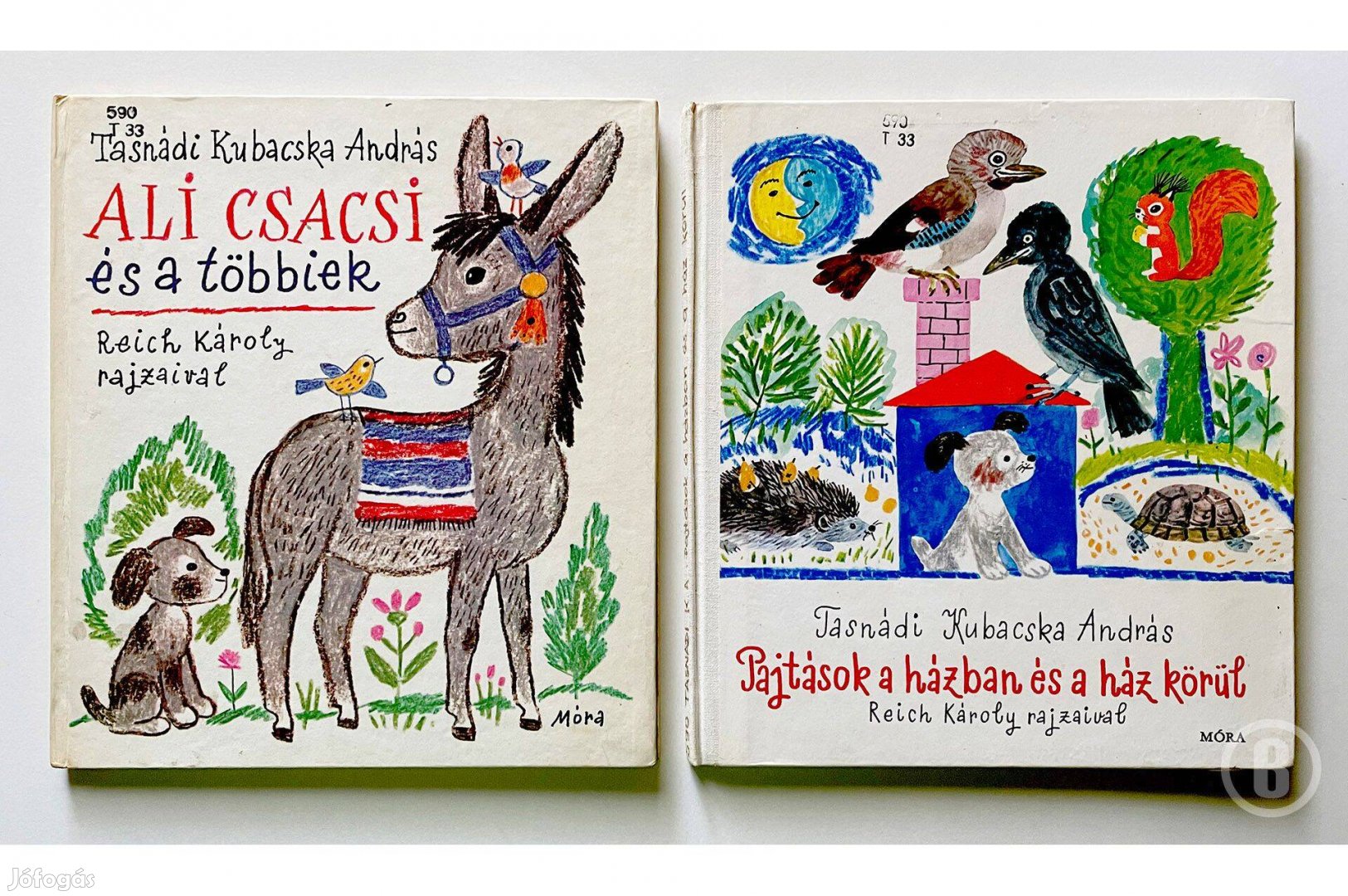 Tasnádi Kubacska Ali csacsi és a többiek Pajtások a házban