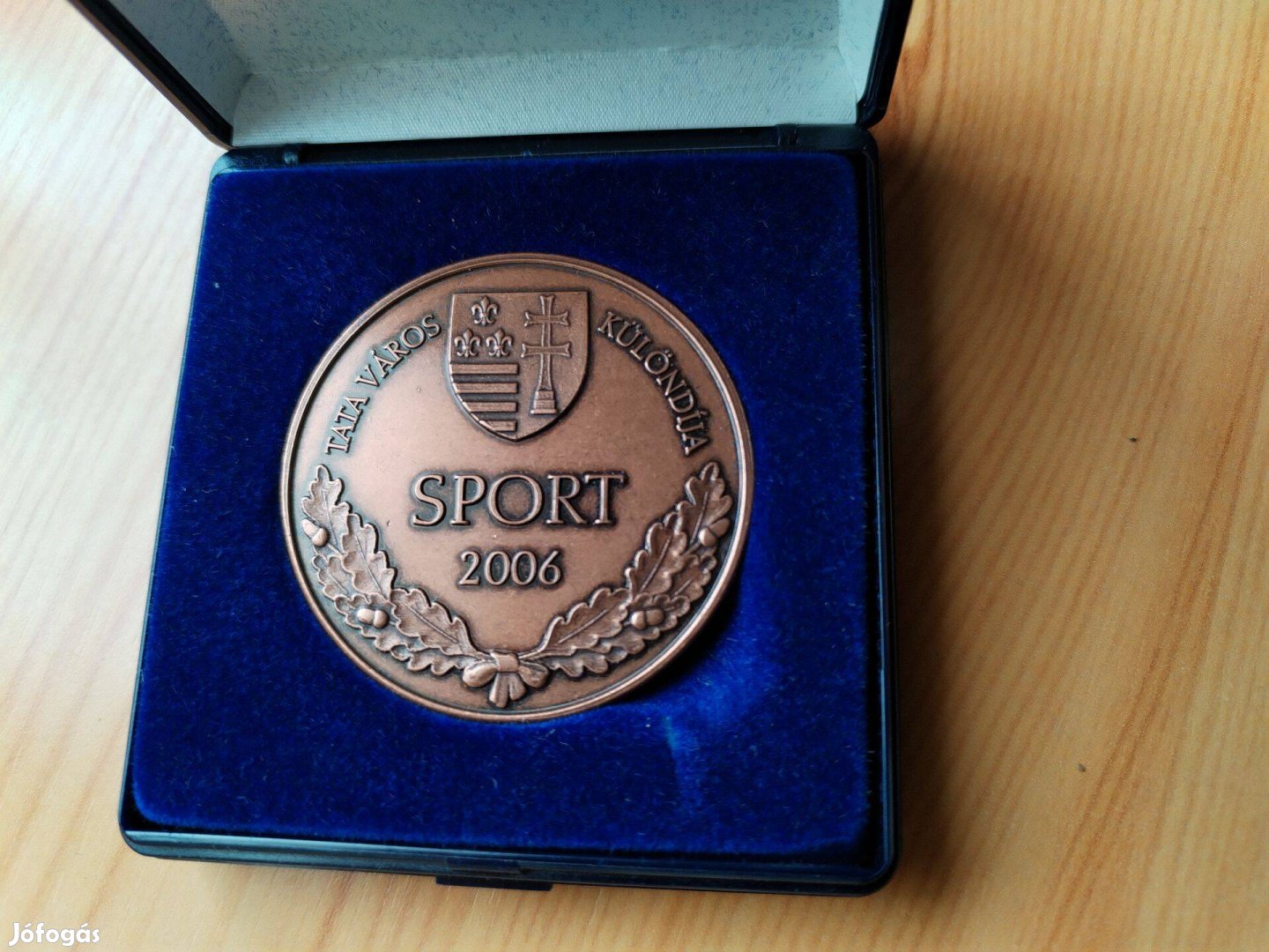 Tata Város 2006-os Sport különdija kitüntetés