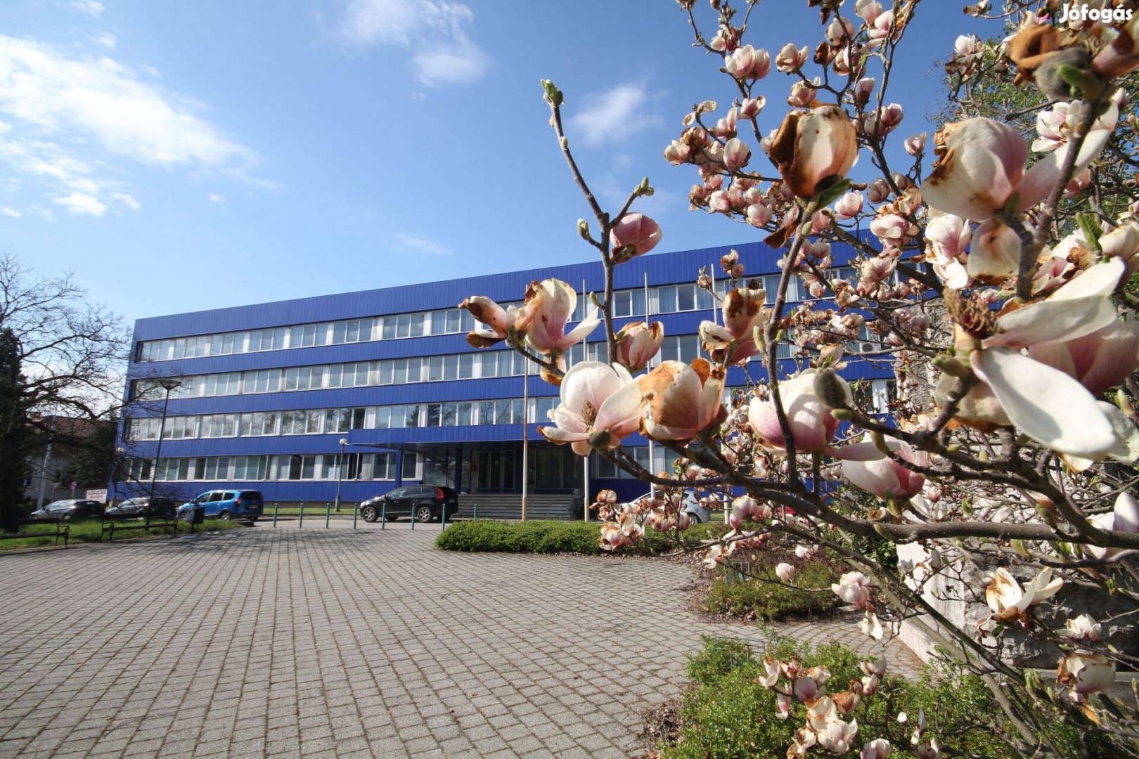 Tatabányán eladó nagyméretű, belterületi ingatlan!