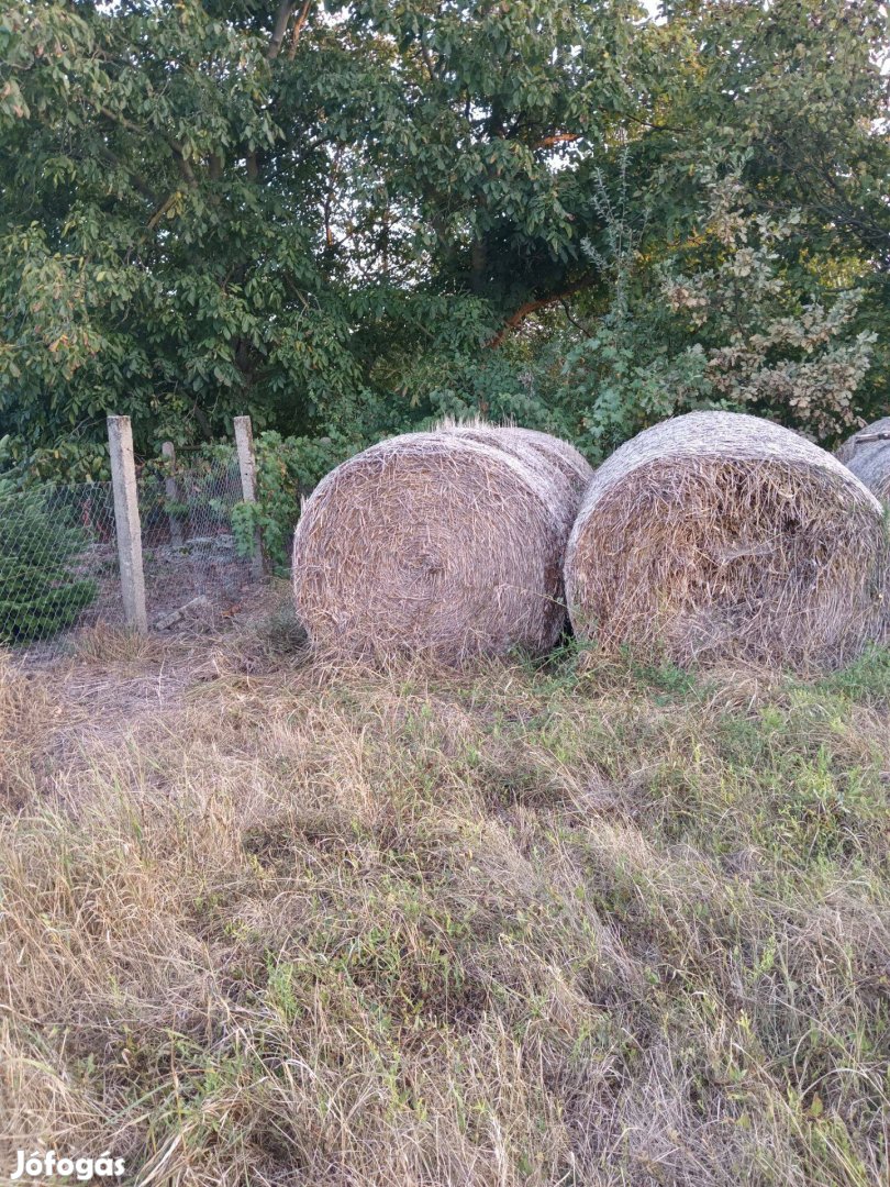 Tavalyi Szalma körbála eladó