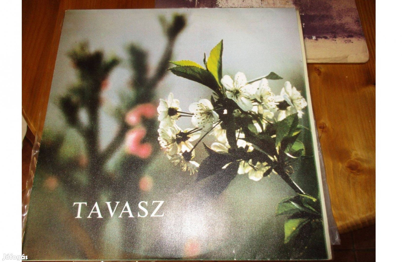 Tavasz kórusművek bakelit hanglemez eladó