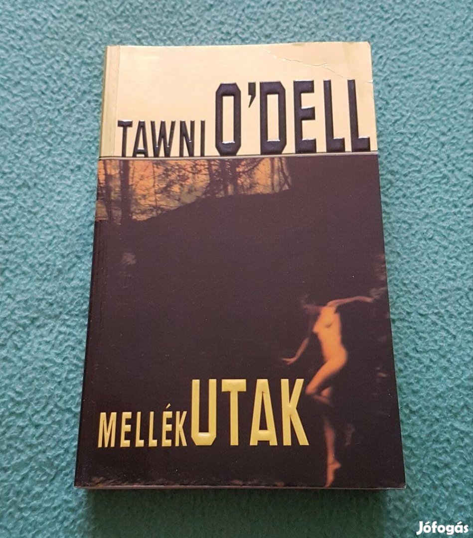 Tawni O'Dell - Mellékutak könyv