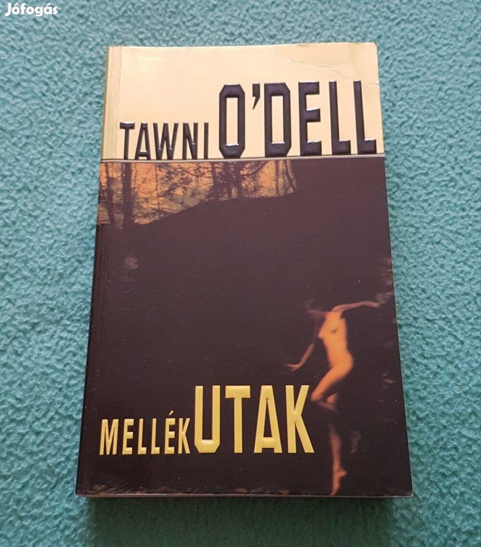 Tawni O'Dell - Mellékutak könyv