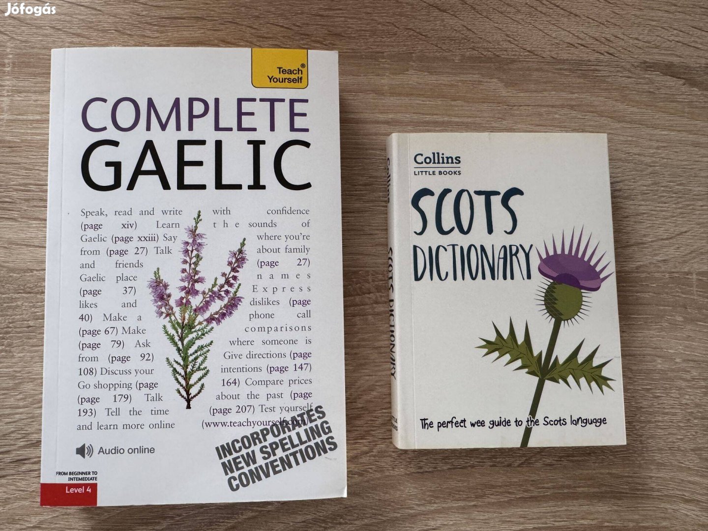 Teach Yourself Complete Gaelic és Scots Dictionary